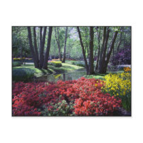 Keukenhof Gardens Netherlands, Postcard Template