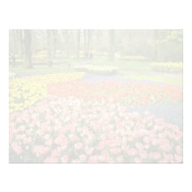 Keukenhof jaune fait du jardinage près de Haarlem, En-tête De Lettre Avec Motif