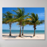 Key Biscayne palms Print