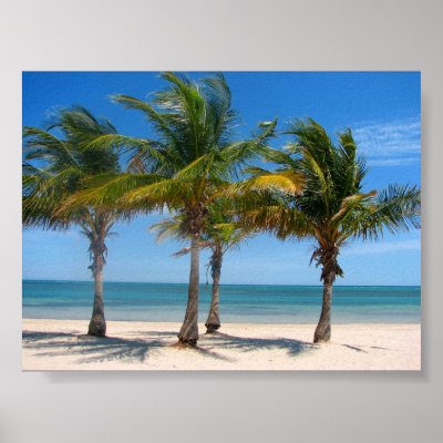 Key Biscayne palms Print by ronnie44052