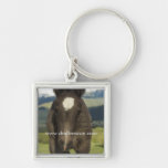 Key chain, UIL