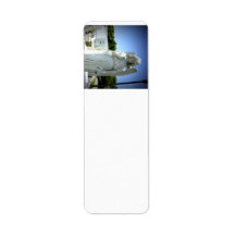 Key West Angel Custom Return Address Label