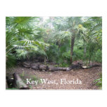 Key West, Florida Postcard