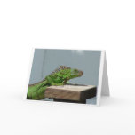 Key West Iguana Greeting card BLANK INSIDE