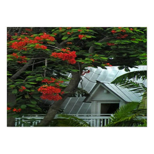 Key West Roof ATC Photo Card Business Cards