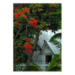 Key West Roof ATC Photo Card Business Cards