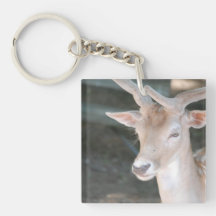 keychain acrylic keychains - Customized