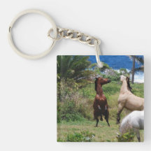 keychain acrylic keychains - Customized
