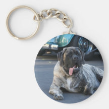 Keychain anglais de mastiff porte-clés