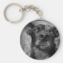 Keychain bleu de photo de détenu de Heeler Porte-clé