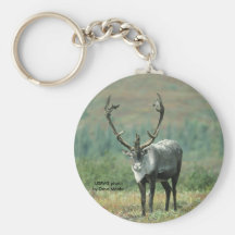 Keychain / Caribou