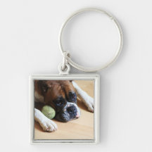 Keychain de chien de boxeur porte-clef