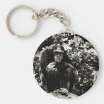 Keychain de singe porte-clef