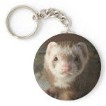 Keychain Ferret close-up
