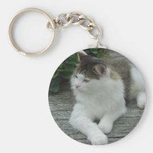 Keychain or Keyring - Maine Coon Cat    Image 1