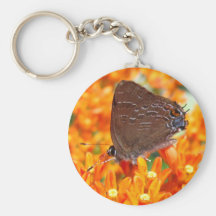 Keychain rare de ~ du papillon 62 porte-clés