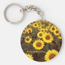 Keychain/tournesols dans Fargo le Dakota du Nord. Porte-clé