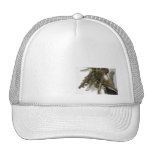 Keys Hats