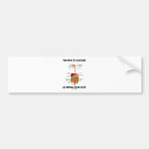 Keys To Success Lie Within Your Guts (Digestive) Bumper Sticker