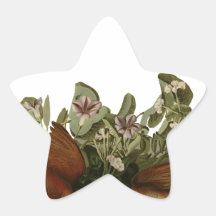 Keywest Doves Star Sticker