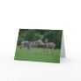 Kicking zebra greeting card