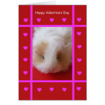 Kid Guinea Pig Valentine Card