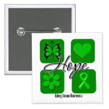 Kidney Disease Hope Love Inspire Awareness Pinback Button