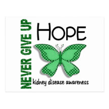 Kidney Disease Never Give Up Hope Butterfly 4.1 Post Cards
