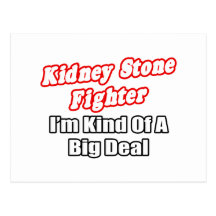 Kidney Stone Fighter...Big Deal Post Card