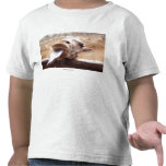 Kids Place Giraffe T-Shirts - Best Tees - Chidrens