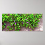 Kihei beach floral canvas print