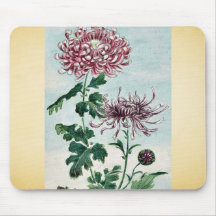Kiku - chrysanthemum / Megata Ukiyo-e. Mouse Pads