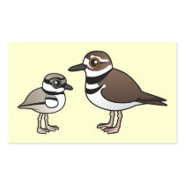 Killdeer & chick