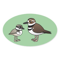 Killdeer & chick