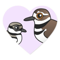 Killdeer & chick