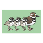 Killdeer & three chicks