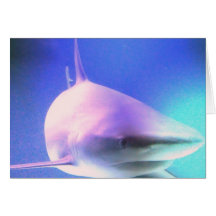 Killer Shark Greeting Card