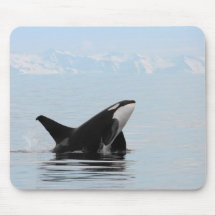 Killer whale breaching mouse pads
