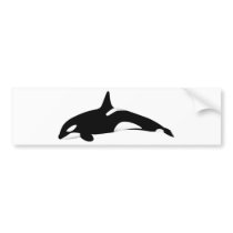 Killer Whale Bumper Stickers