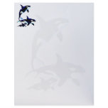 Killer Whale Family letterhead2_vertical.