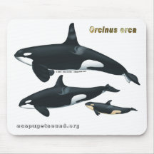 Killer Whale Family Mousepad