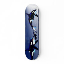 Killer Whale Family Skateboards