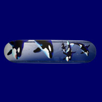Killer Whale Family Skateboards skateboards