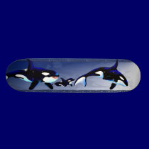 Killer Whale Family Skateboards skateboards