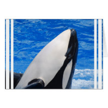 Killer Whale Greeting Cards