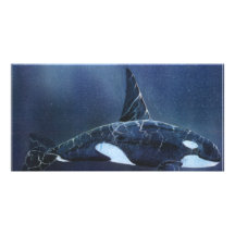 Killer Whale Photo Greeting Card