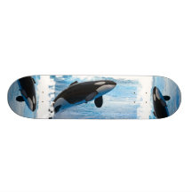 Killer Whales on a Skateboard