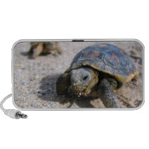 Kimberly P-Chadwick ~ Desert Tortoise Hatchlings Mini Speaker