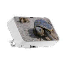 Kimberly P-Chadwick ~ Desert Tortoise Hatchlings Mini Speaker