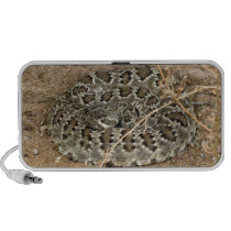 Kimberly P-Chadwick ~ Mohave Rattlesnake Pc Speakers